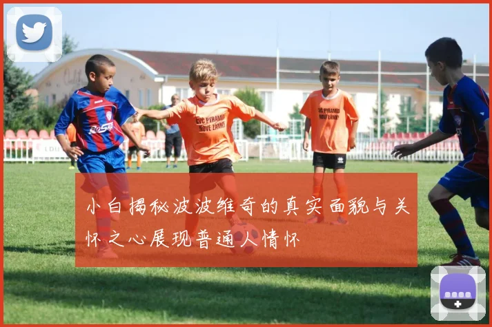 小白揭秘波波维奇的真实面貌与关怀之心展现普通人情怀