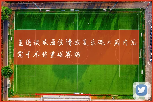 基德谈浓眉伤情恢复乐观六周内无需手术将重返赛场